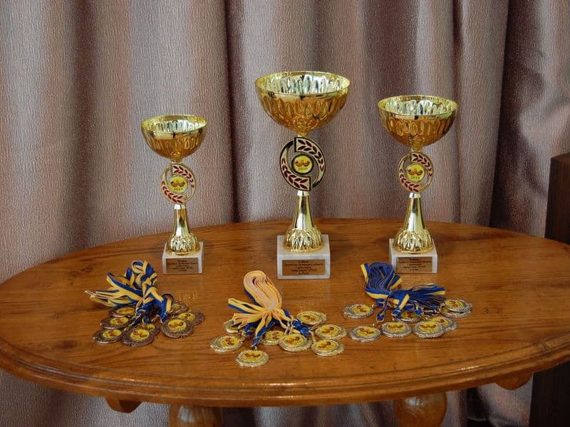 Чемпіонат Львівської області серед навчальних закладів профтехосвіти 2010