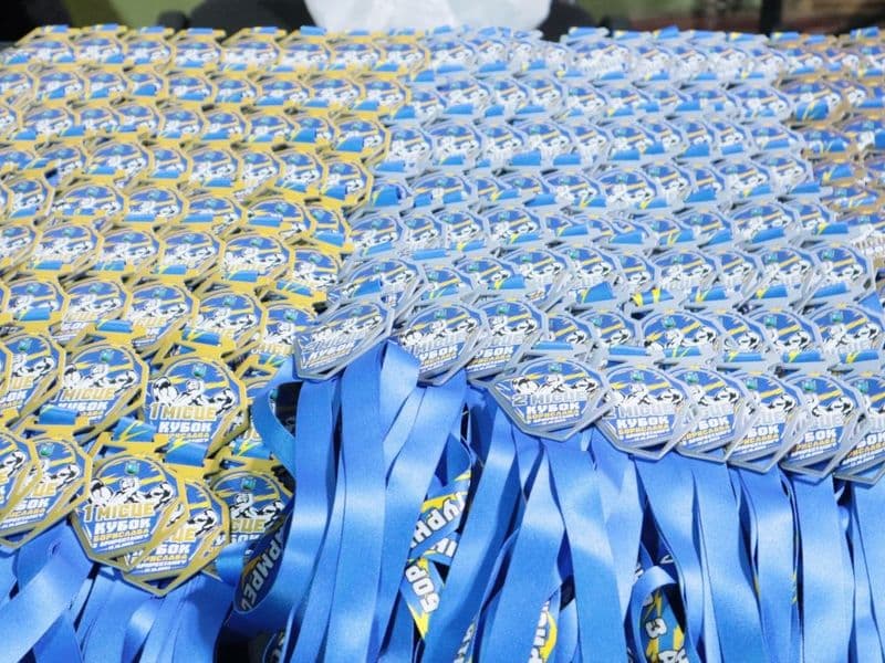 Відкритий чемпіонат "Кубок Борислава"